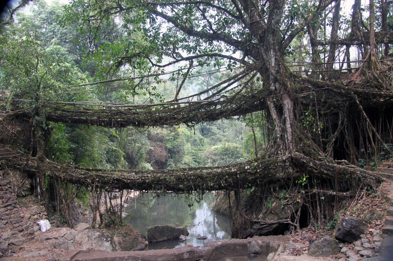 5N/6D Backpacking trip to Meghalaya