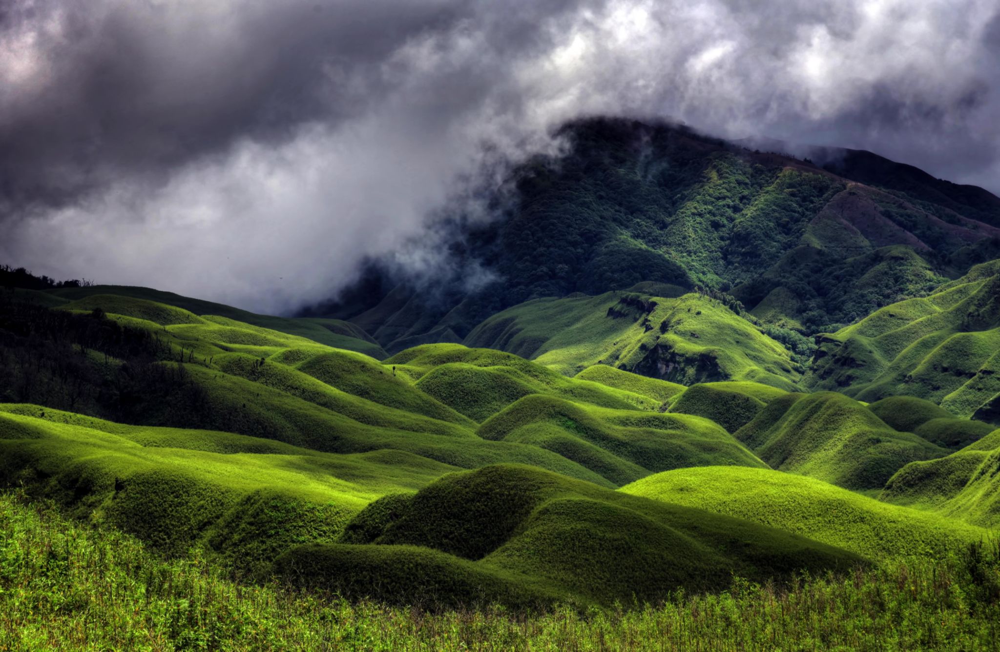 Adventurous Dzukou Valley Trek