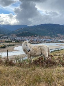 Offbeat Places To Travel In Arunachal Pradesh