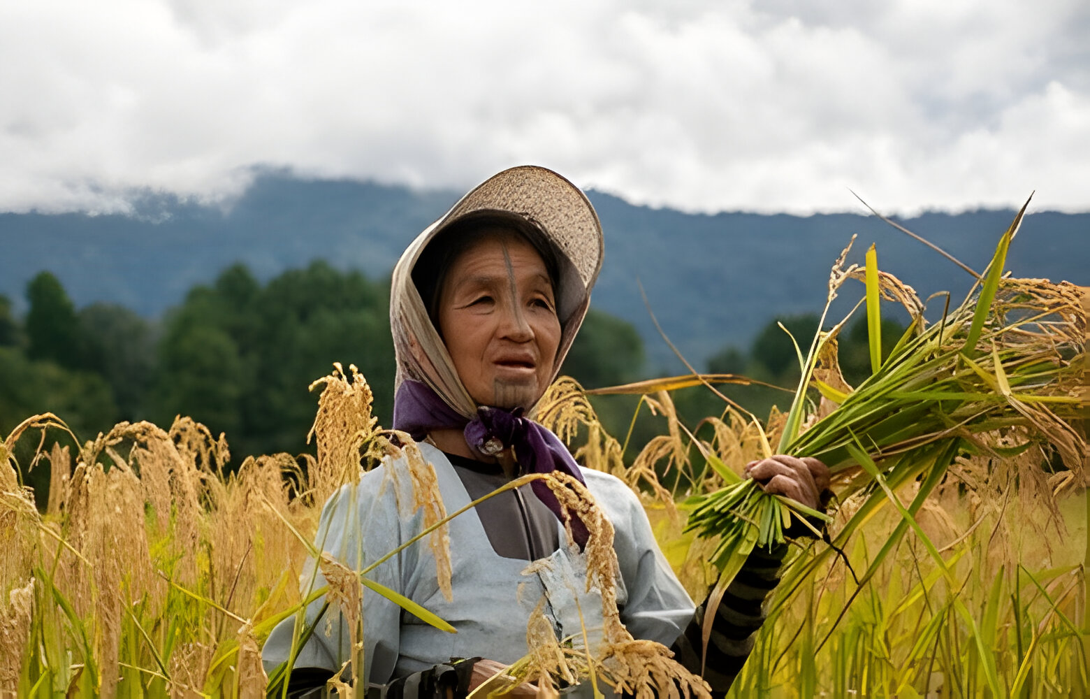 Ziro Festival Of Music- The incredible experience of Arunachal